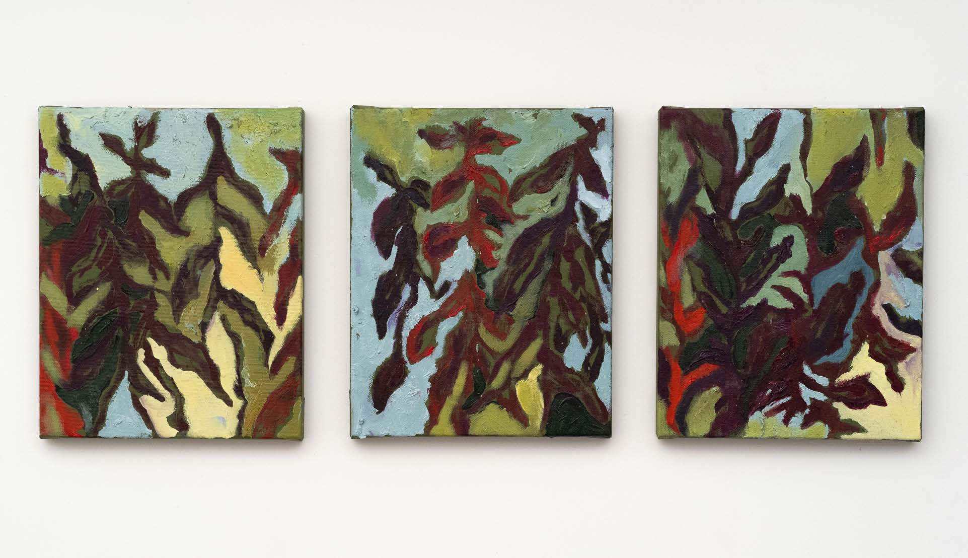 Three small canvases of dark sage leaves against yellow, blue and red backgrounds.