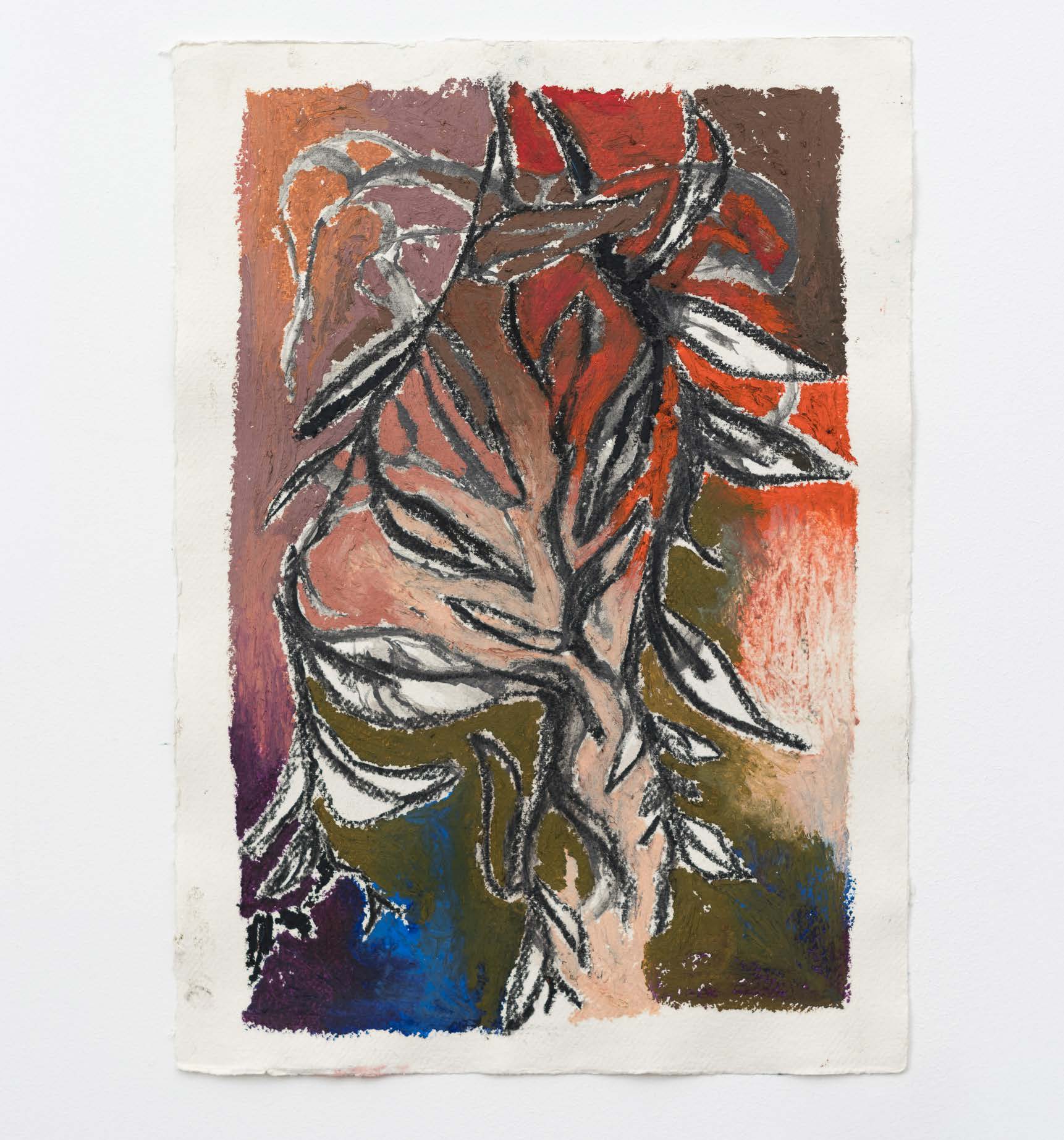 Dark sage leaves drawn over orange, pink, green and blue passages on paper.