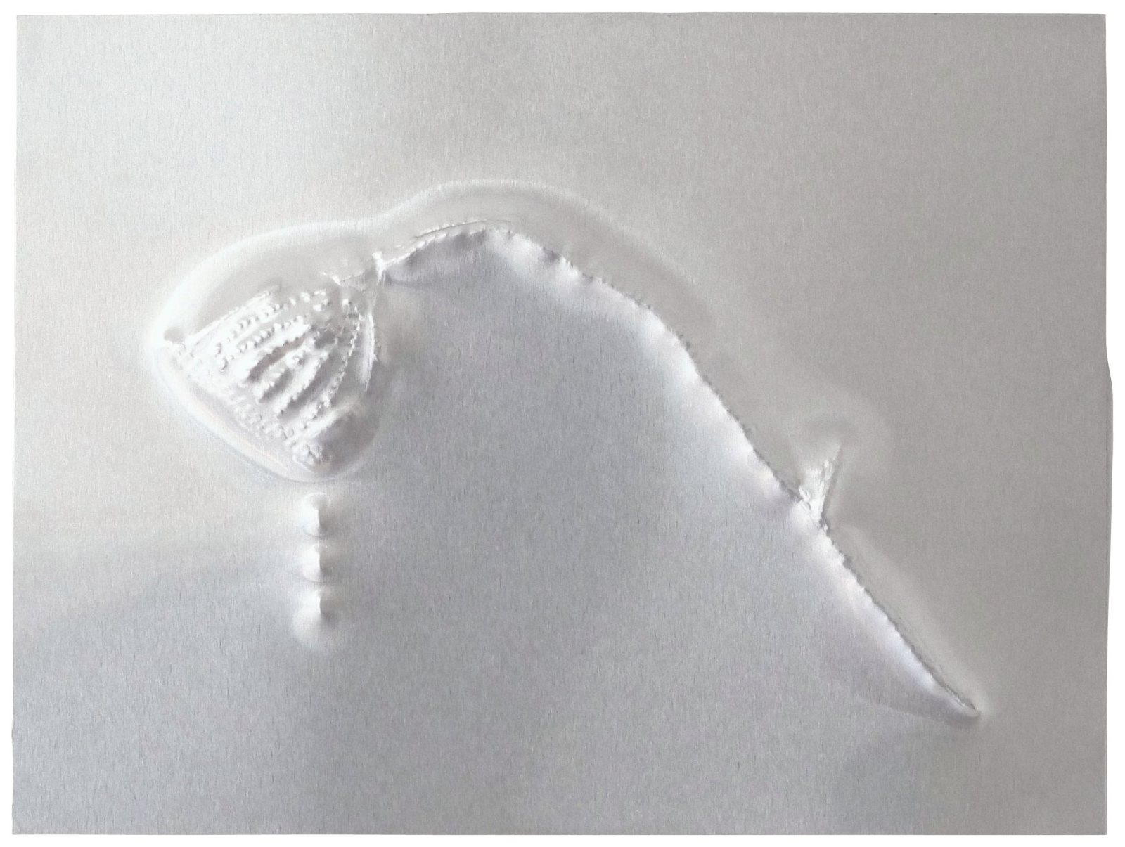 Futures 05: a reflective aluminium panel embossed with a poppy stem and seedhead.