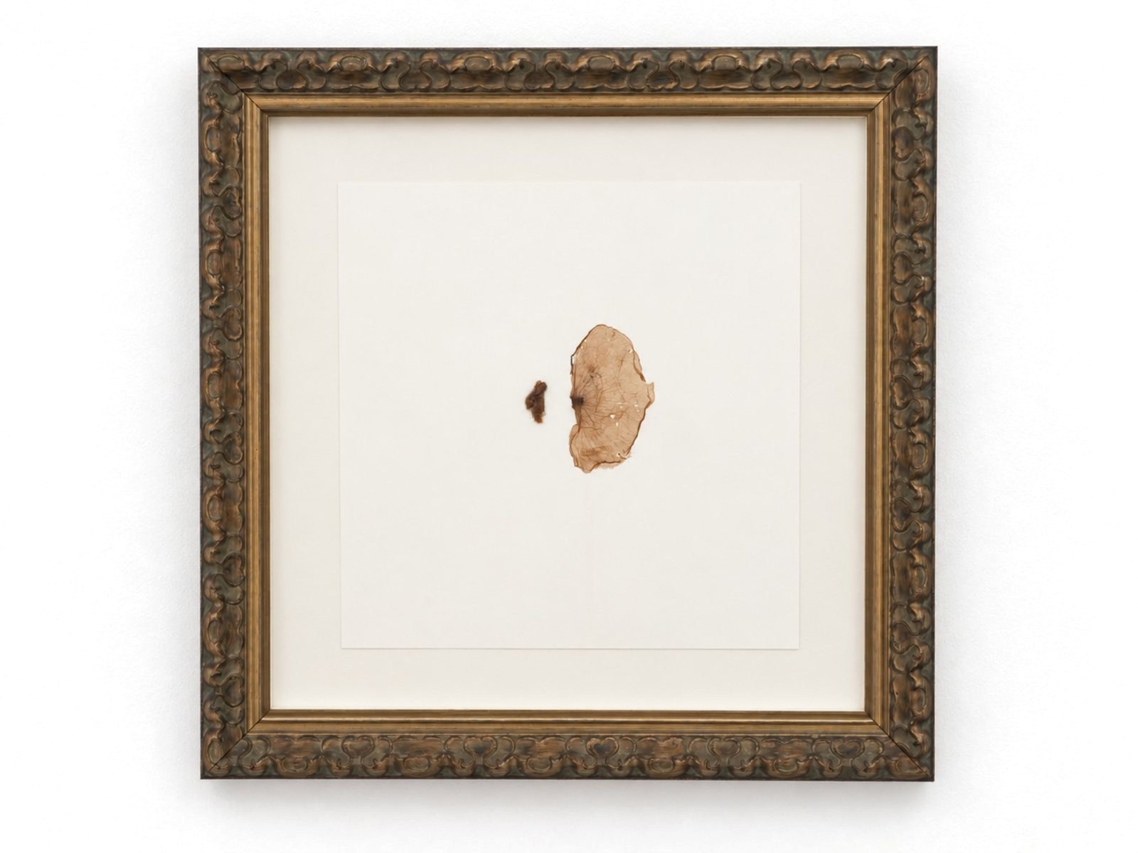 A single poppy leaf set in resin and salt on paper, in an ornate gilt antique frame.