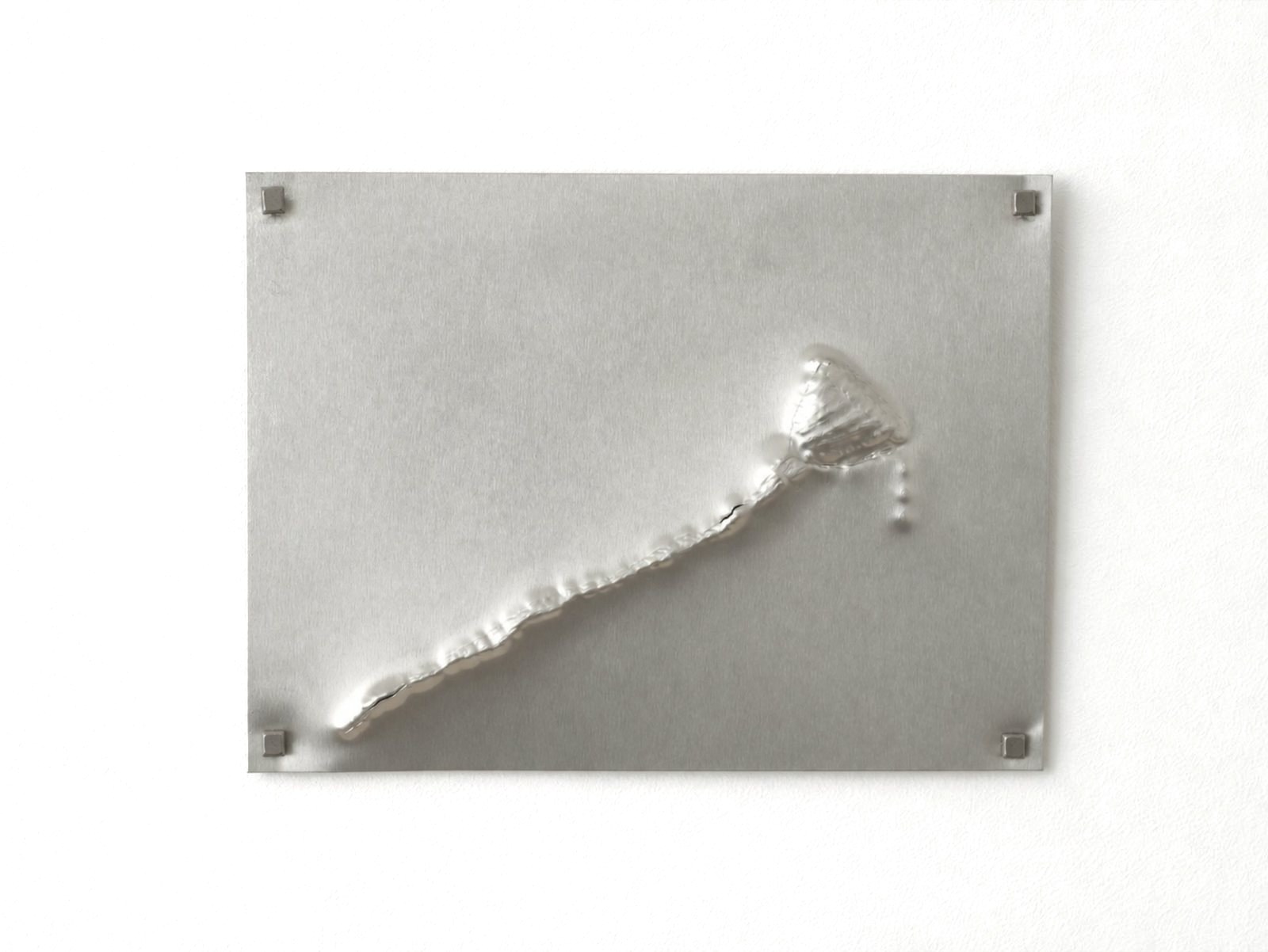 Futures 01: a poppy stem embossed in relief on a sheet of aluminium.
