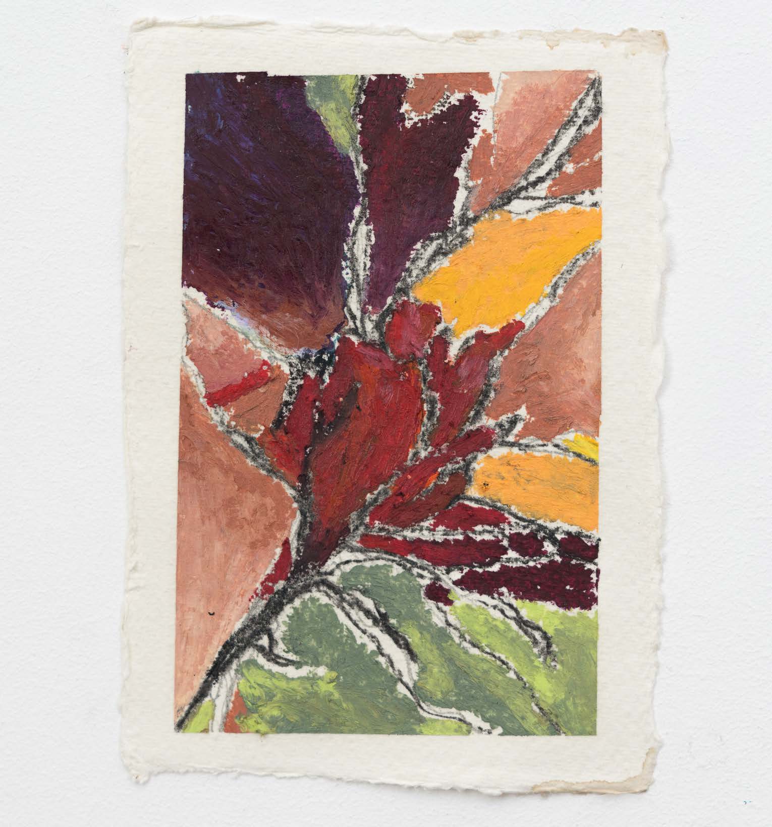 Large dark leaves crossing red, orange, cream and pale green shapes on paper.