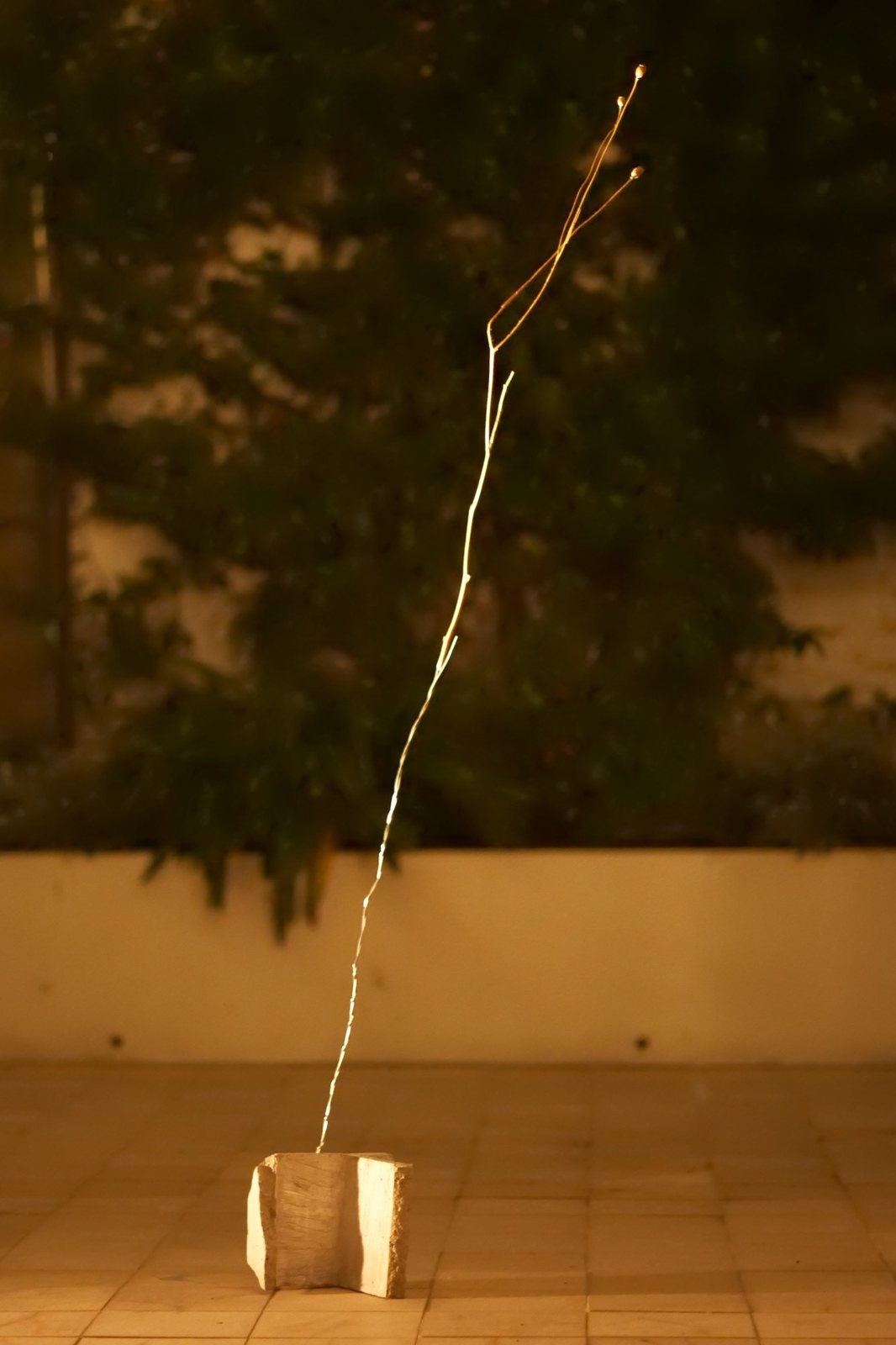 A single dried poppy stalk wrapped in aluminium wire rises from a block fragment, in the walled garden at night.