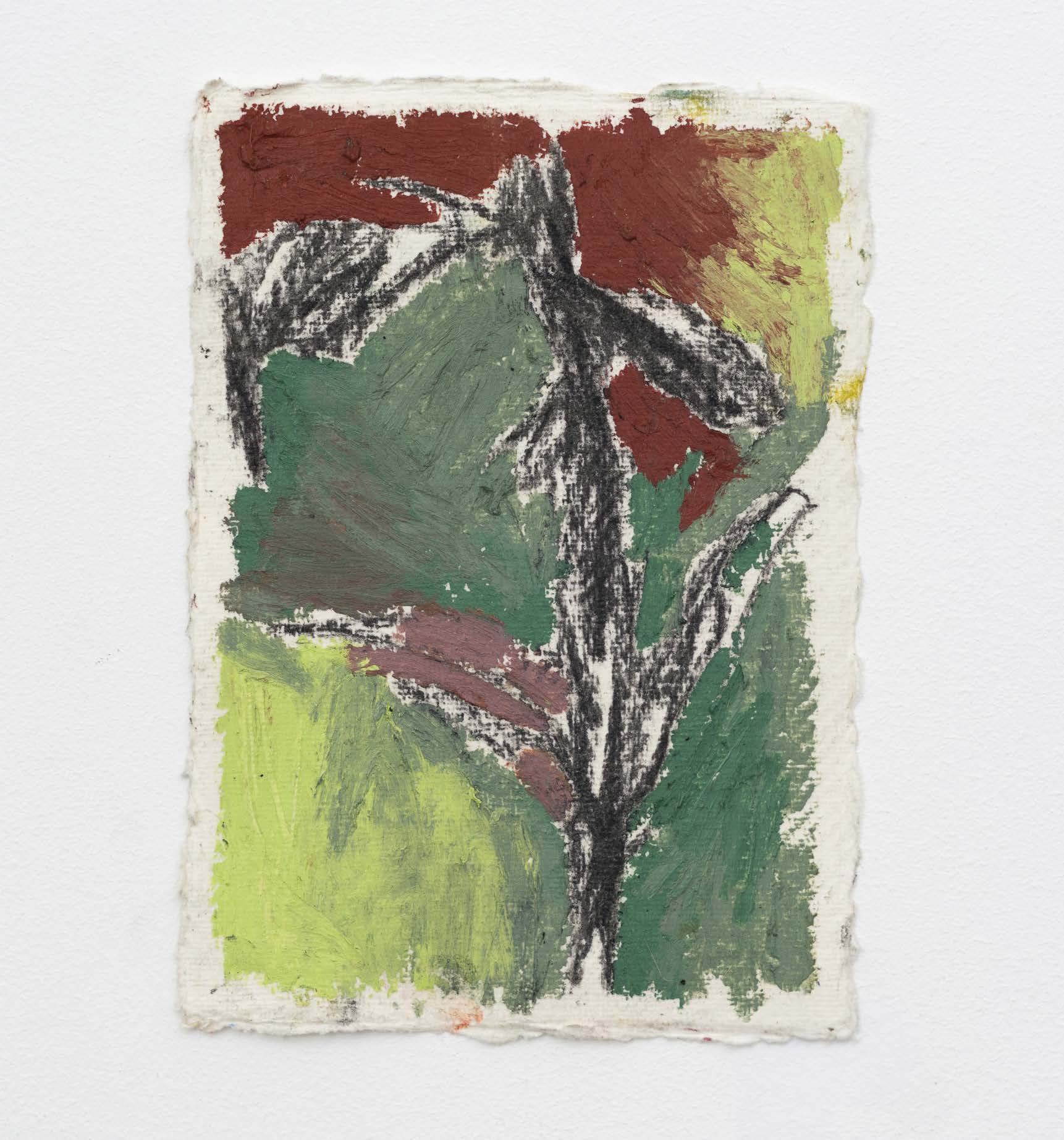 Broad green leaves and a dark stem against a red and grey ground on paper.