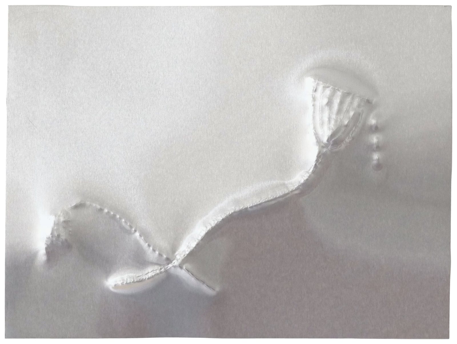 Futures 02: a reflective aluminium panel embossed with a poppy stem and seedhead.