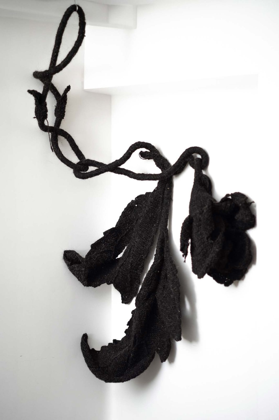 A black woollen stem with leaves and a rose, hanging from the top of a white wall and curling down it.